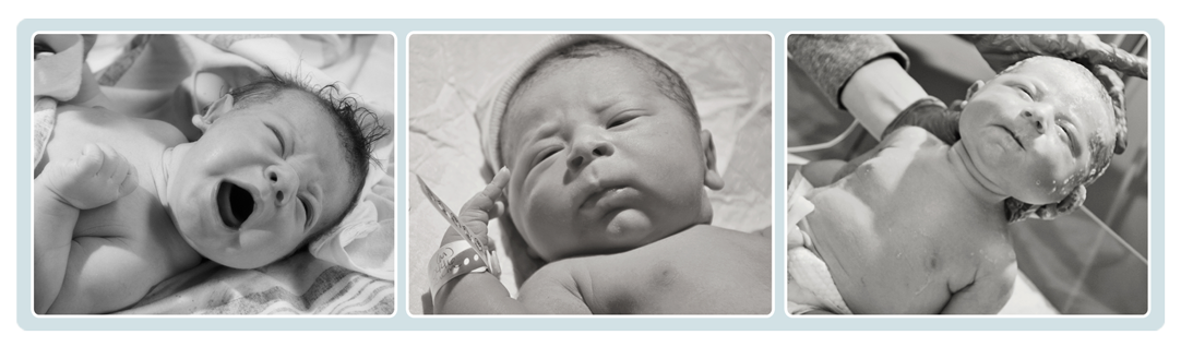 Photodipities Family | Birth