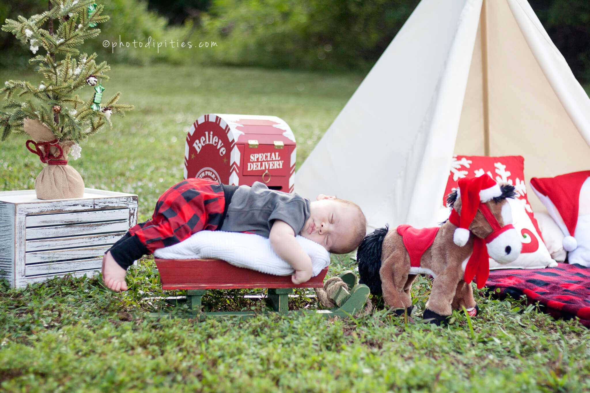 Photodipities Family | Newborn Photography | Christmas Mini Session