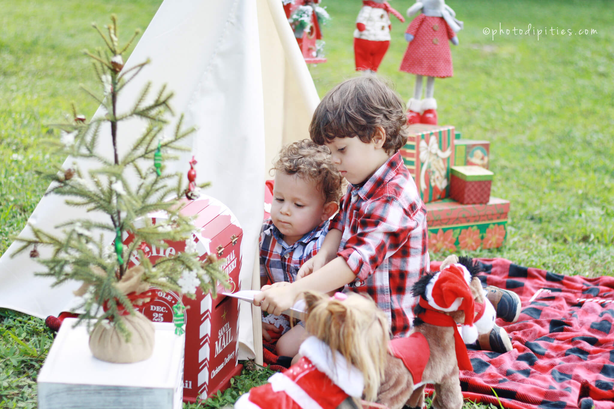 Christmas Session with Ethan & Dylan - Photodipities Family