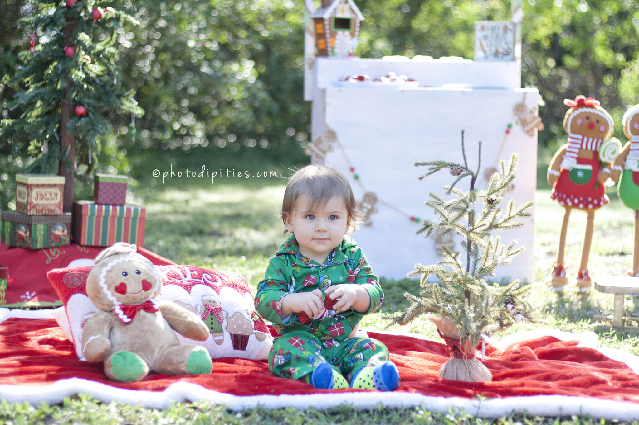 Photodipities Family | Christmas Family Session