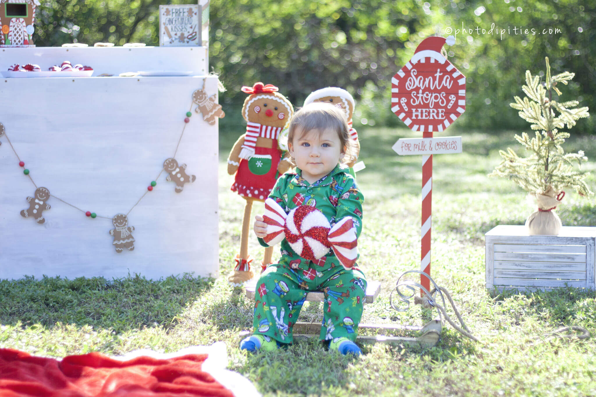 Photodipities Family | Christmas Family Session