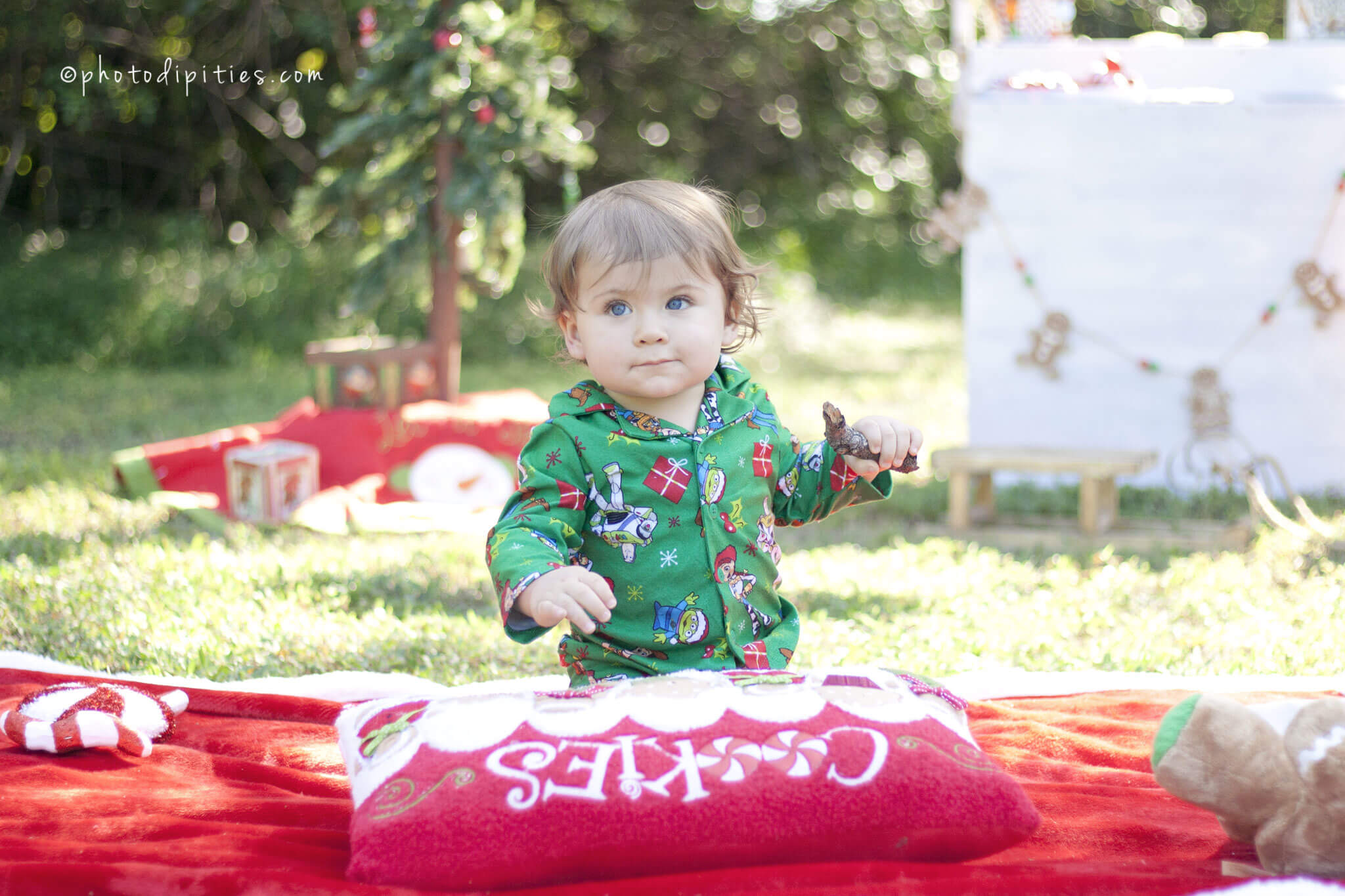 Photodipities Family | Christmas Family Session