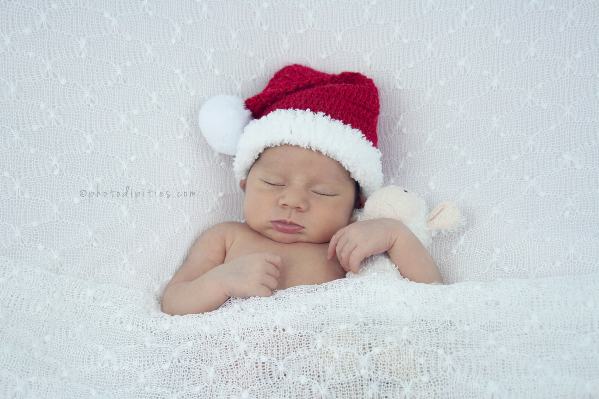 Photodipities Family - Newborn Photography